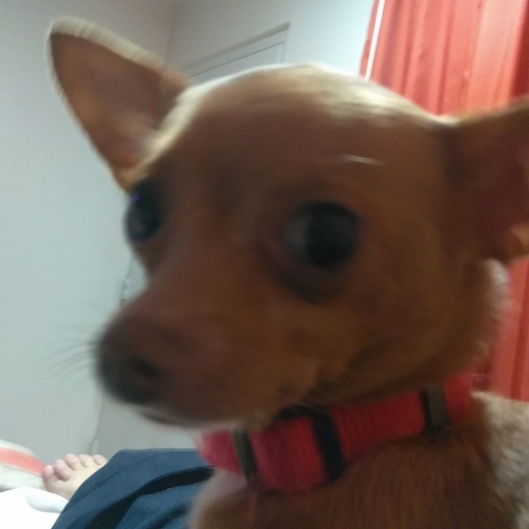 prozac878897